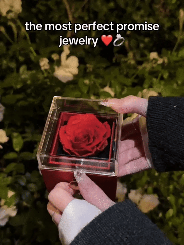 Chivalry & Charm: Heart/Sword Love Necklace